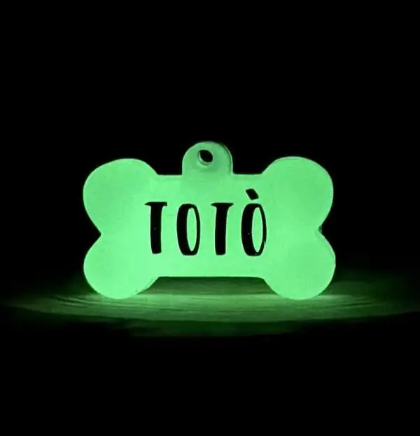 Chapita green night