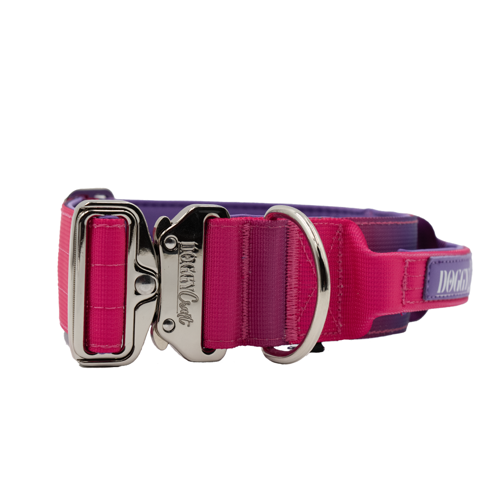doggycraft-collar-tactico-para-perros-coleccion-berry-1