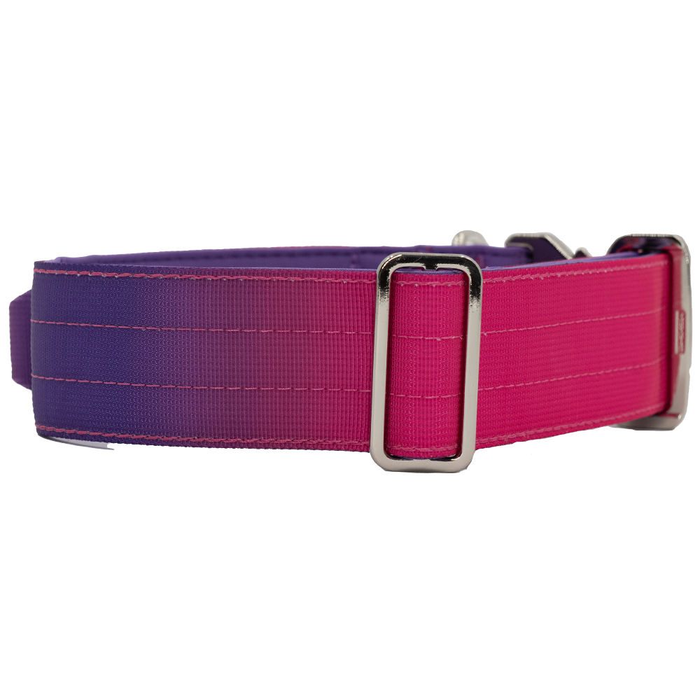 doggycraft-collar-tactico-para-perros-coleccion-berry-2