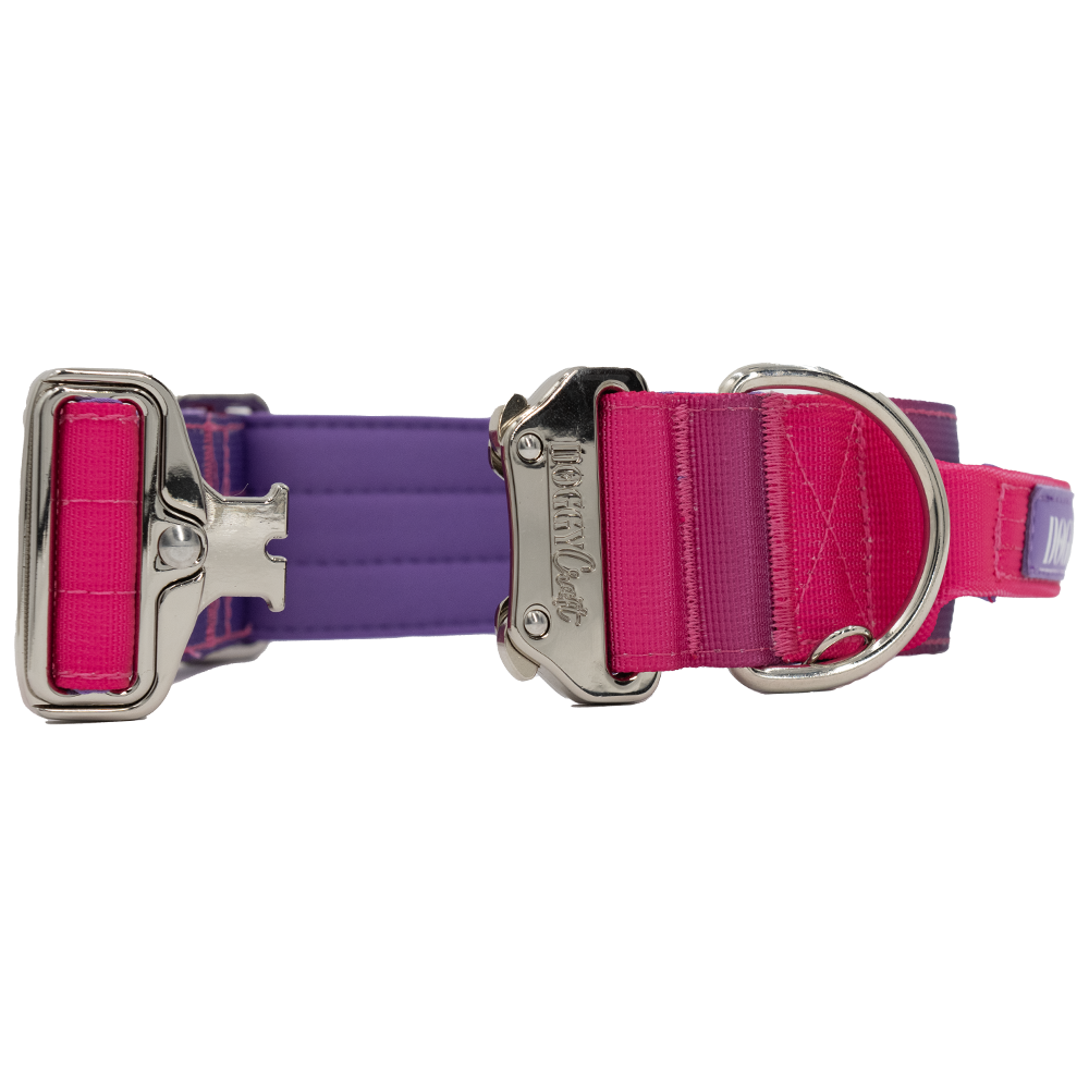 doggycraft-collar-tactico-para-perros-coleccion-berry-3