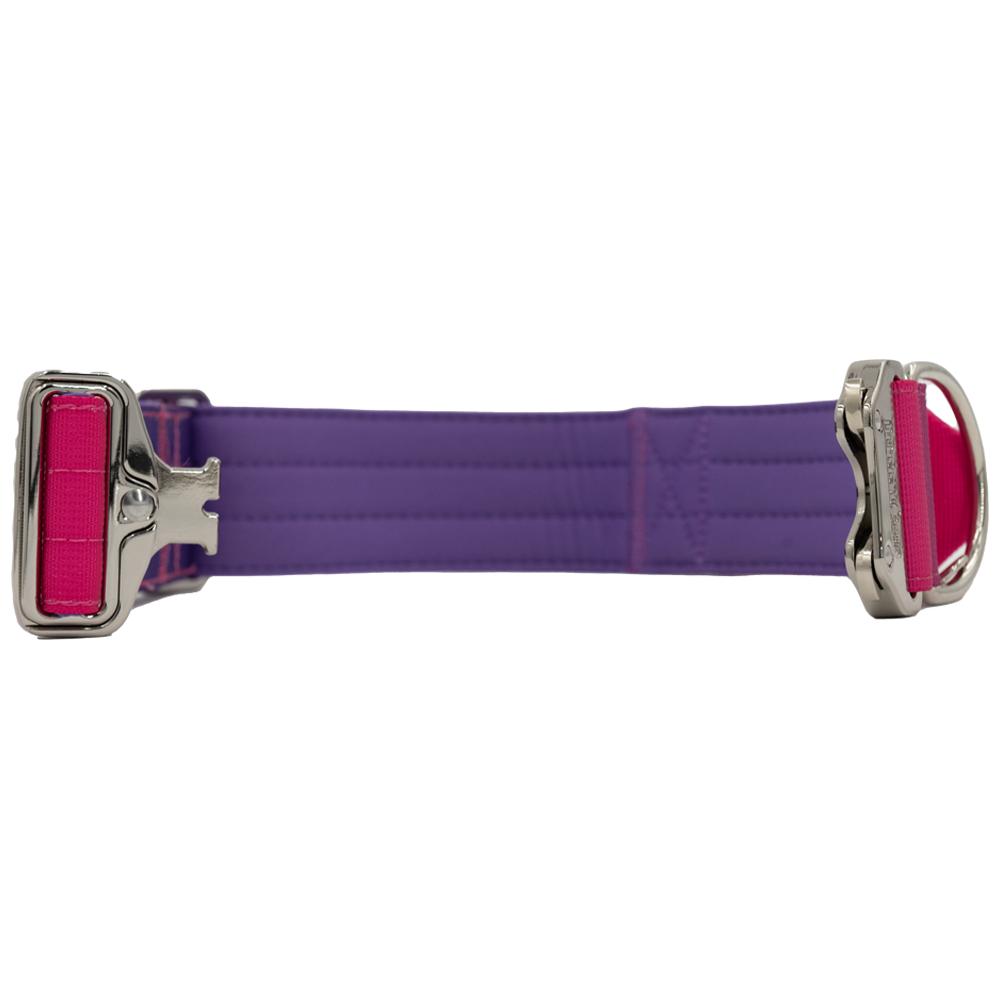 doggycraft-collar-tactico-para-perros-coleccion-berry-4