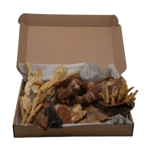 Doggy Box M