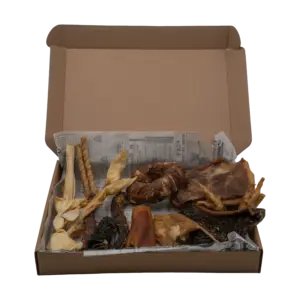Doggy Box S