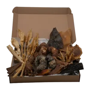 Doggy Box Ilimitado