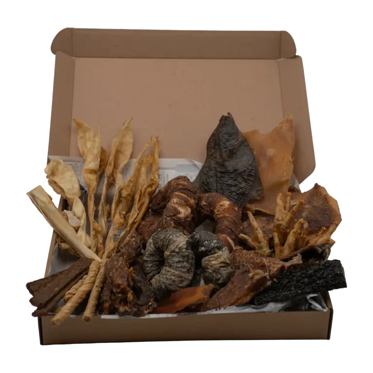 Doggy Box de snacks naturales