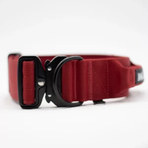 Collar Velvet