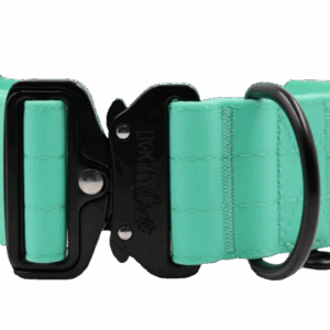 Collar PVC Mint
