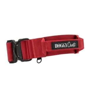 Collar Velvet