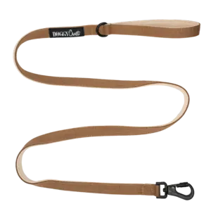 Correa Terra Mini 1,5m