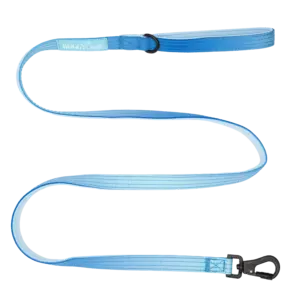 Correa Sky Mini 1,5m