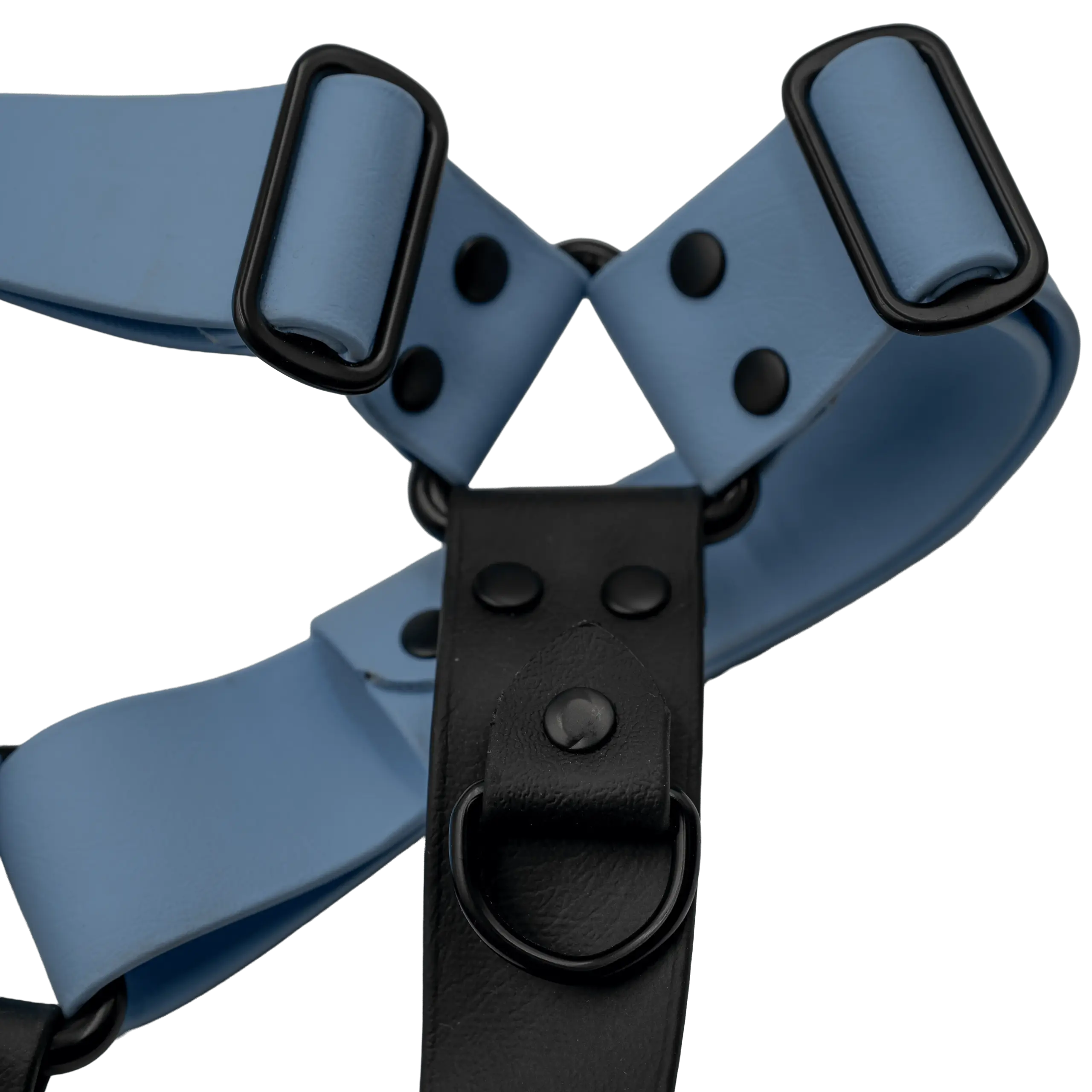 doggy-craft-arnes-biothane-waterproof-5