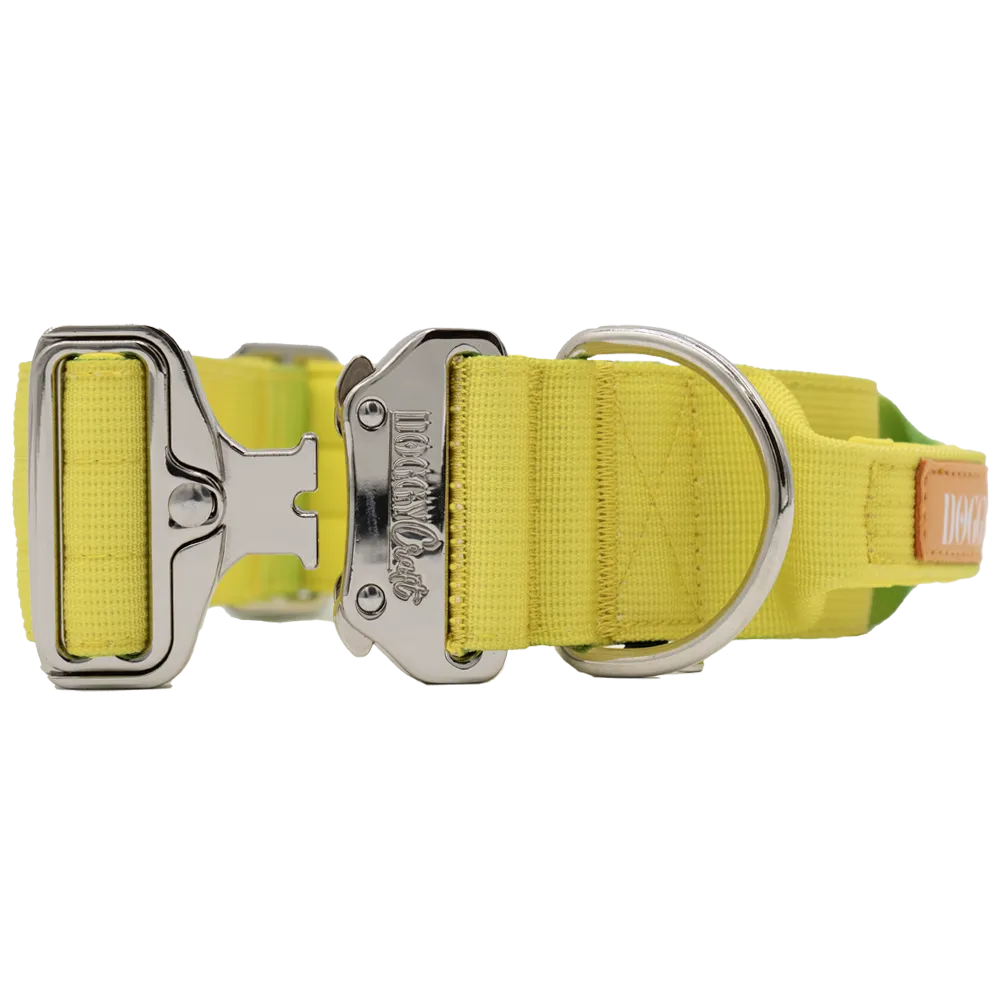 doggycraft-collar-tactico-para-perros-coleccion-limoncello-2