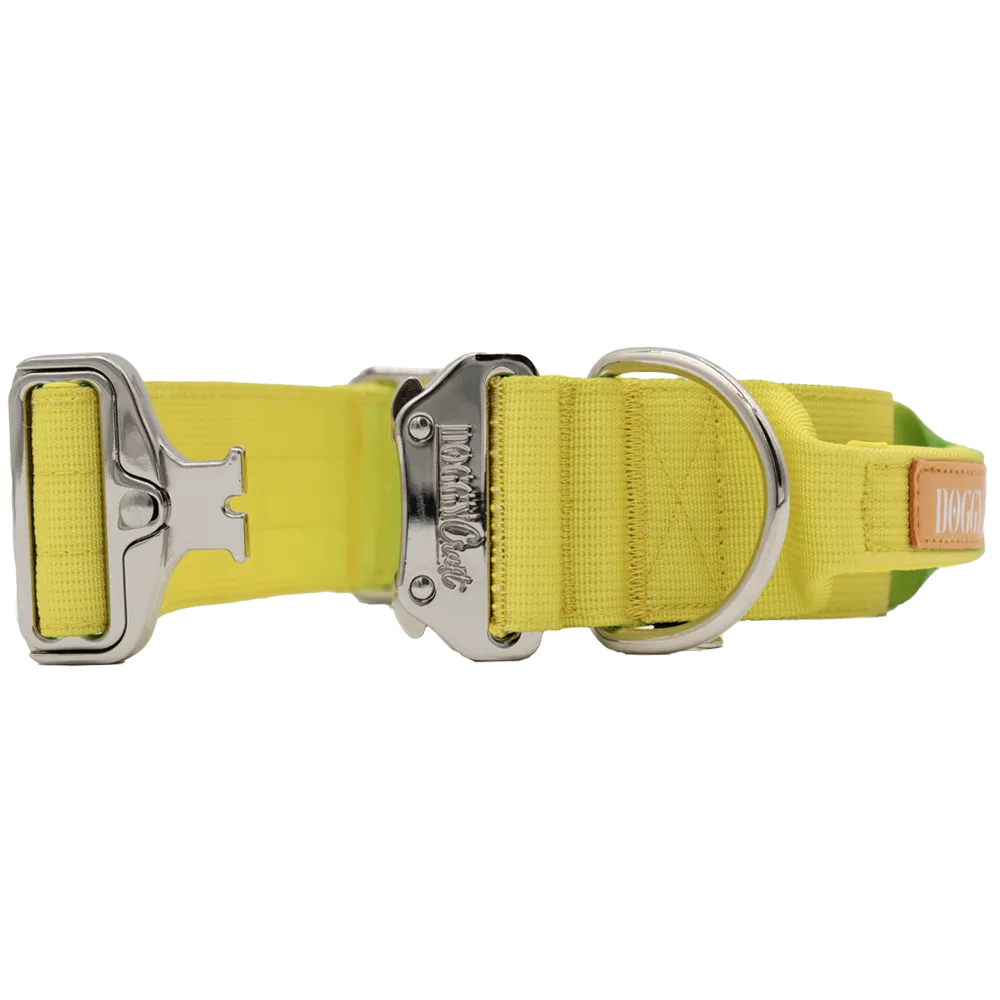 doggycraft-collar-tactico-para-perros-coleccion-limoncello-3