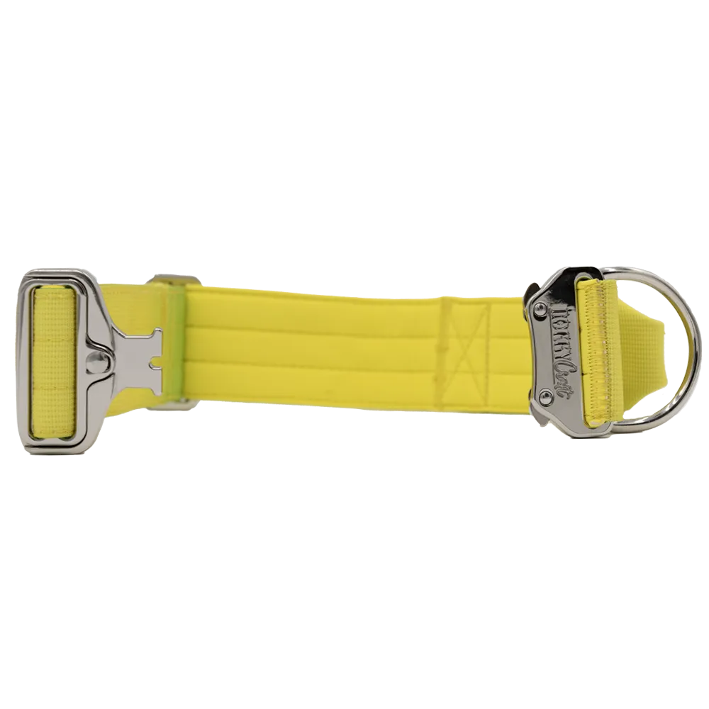 doggycraft-collar-tactico-para-perros-coleccion-limoncello-4