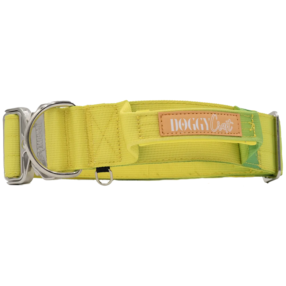 doggycraft-collar-tactico-para-perros-coleccion-limoncello