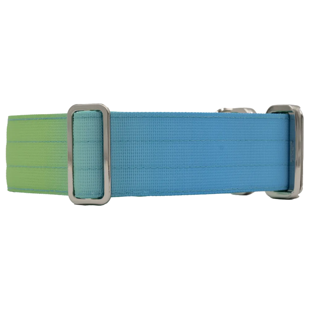 doggycraft-collar-tactico-para-perros-coleccion-savage-2