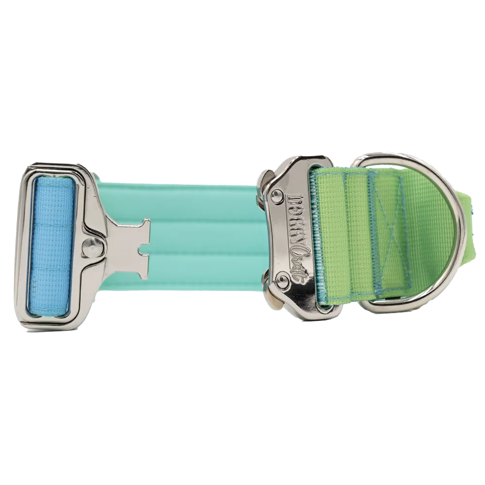 doggycraft-collar-tactico-para-perros-coleccion-savage-3