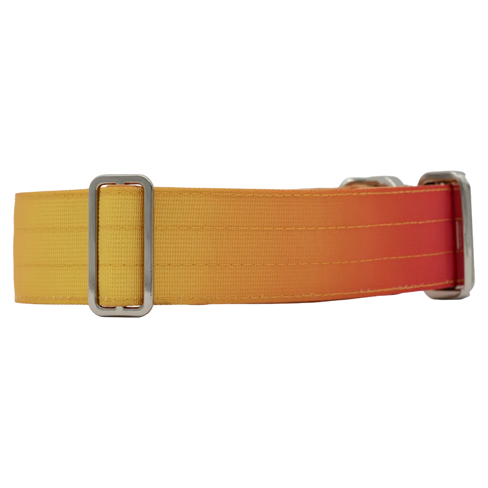 doggycraft-collar-tactico-para-perros-coleccion-sunset-1