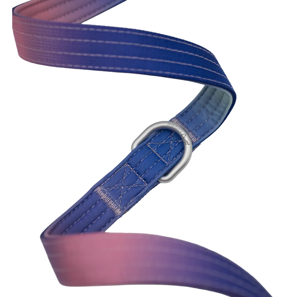 doggy-craft-correa-multiposicion-3m-perros-universe-4