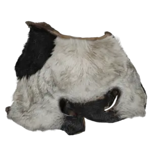 Placa de caravaca con pelo