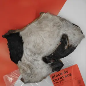 Placa de caravaca con pelo