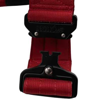 arnes-para-perro-velvet-6