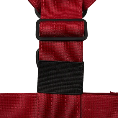 arnes-para-perro-velvet2