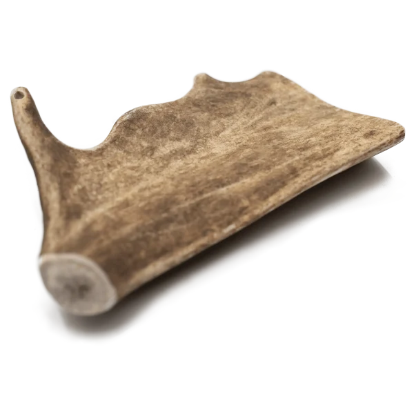 asta-de-gamo-2