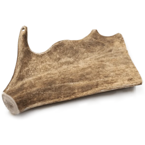 asta-de-gamo