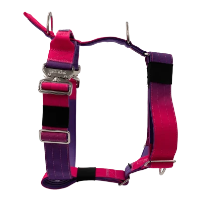 doggy-craft-arnes-para-perros-berry-1