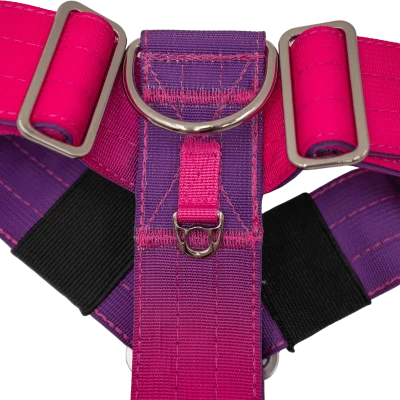 doggy-craft-arnes-para-perros-berry-3