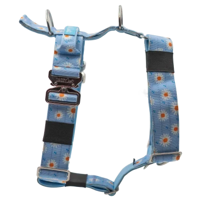 doggy-craft-arnes-para-perros-bloom