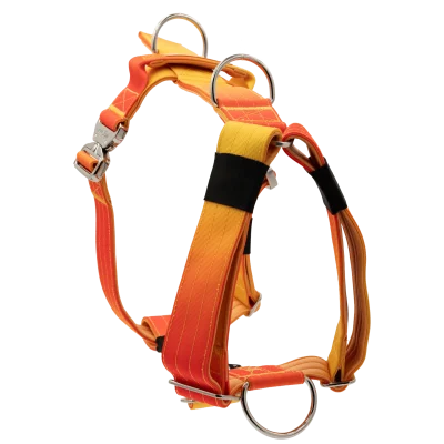 doggy-craft-arnes-para-perros-sunset-8