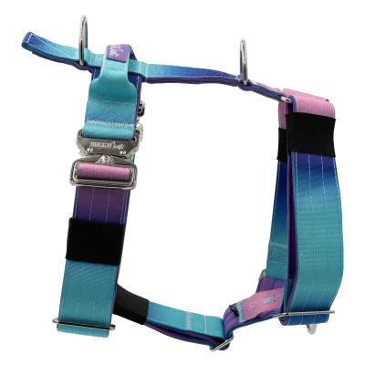 doggy-craft-arnes-para-perros-universe-1