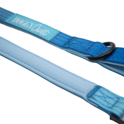 doggy-craft-correa-1,5m-mini-perros-sky