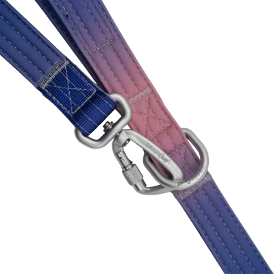 doggy-craft-correa-multiposicion-3m-perros-universe-3