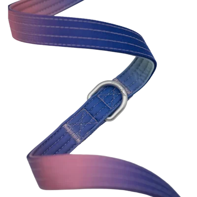 doggy-craft-correa-multiposicion-3m-perros-universe-4