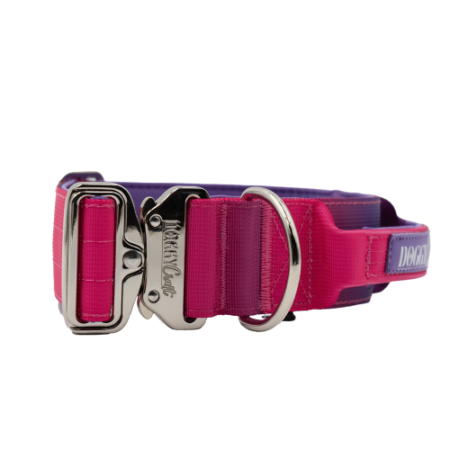 doggycraft-collar-tactico-para-perros-coleccion-berry-1