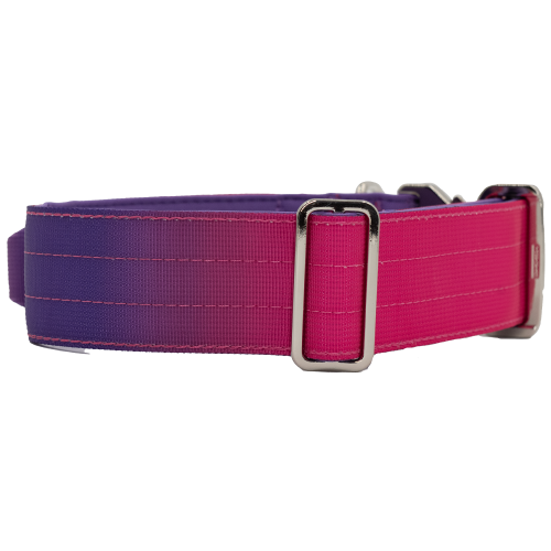 doggycraft-collar-tactico-para-perros-coleccion-berry-2