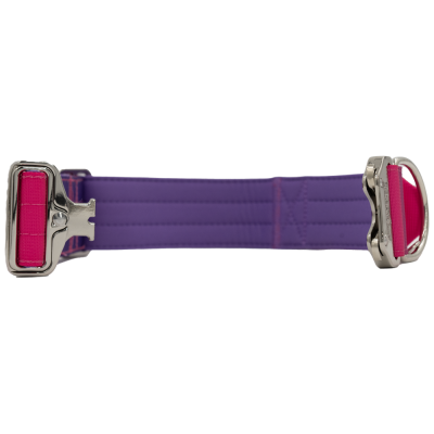 doggycraft-collar-tactico-para-perros-coleccion-berry-4