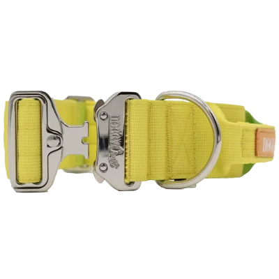 doggycraft-collar-tactico-para-perros-coleccion-limoncello-2