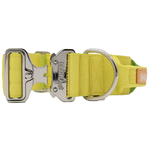doggycraft-collar-tactico-para-perros-coleccion-limoncello-2