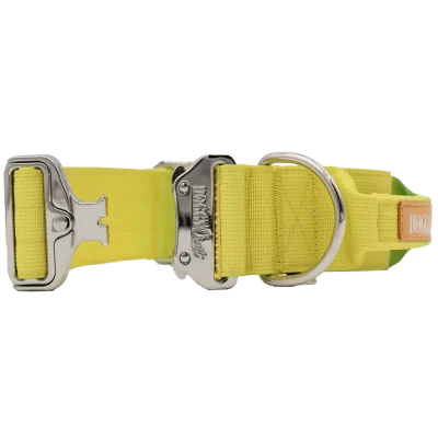 doggycraft-collar-tactico-para-perros-coleccion-limoncello-3