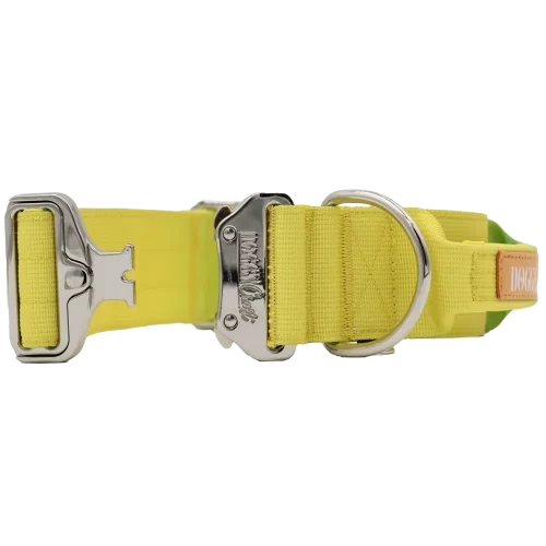 doggycraft-collar-tactico-para-perros-coleccion-limoncello-3