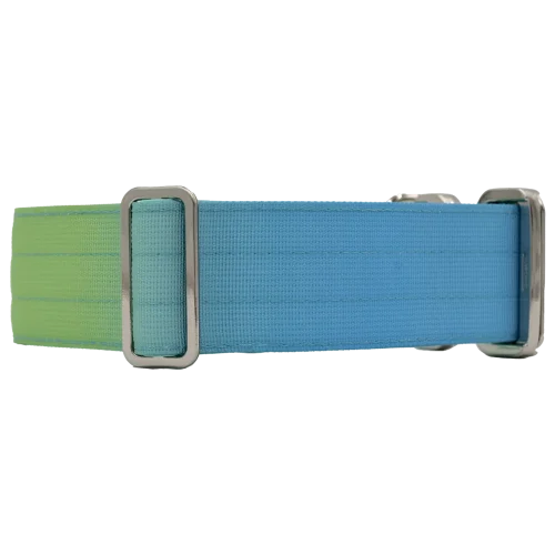 doggycraft-collar-tactico-para-perros-coleccion-savage-2