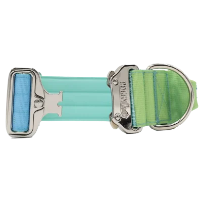 doggycraft-collar-tactico-para-perros-coleccion-savage-3