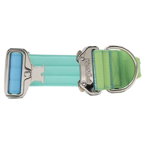 doggycraft-collar-tactico-para-perros-coleccion-savage-3