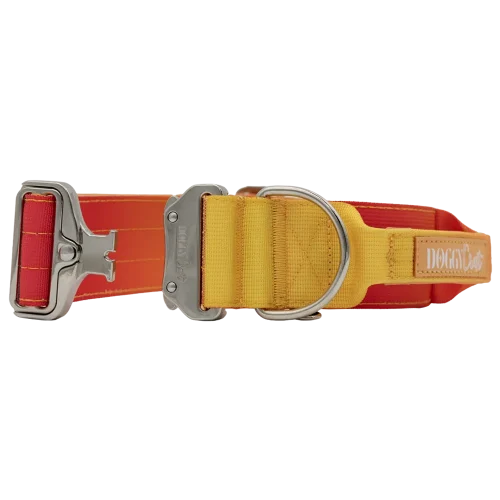 doggycraft-collar-tactico-para-perros-coleccion-sunset-2