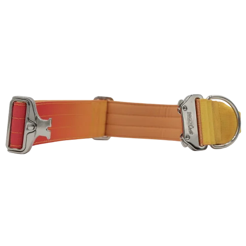 doggycraft-collar-tactico-para-perros-coleccion-sunset-3