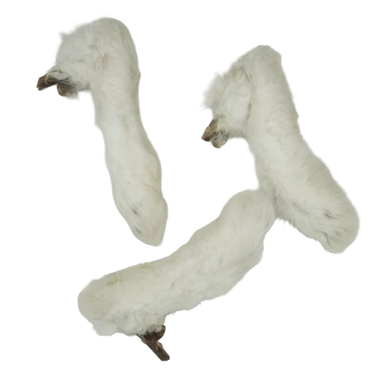 doggycraft-snacks-naturales-patas-de-conejo-1